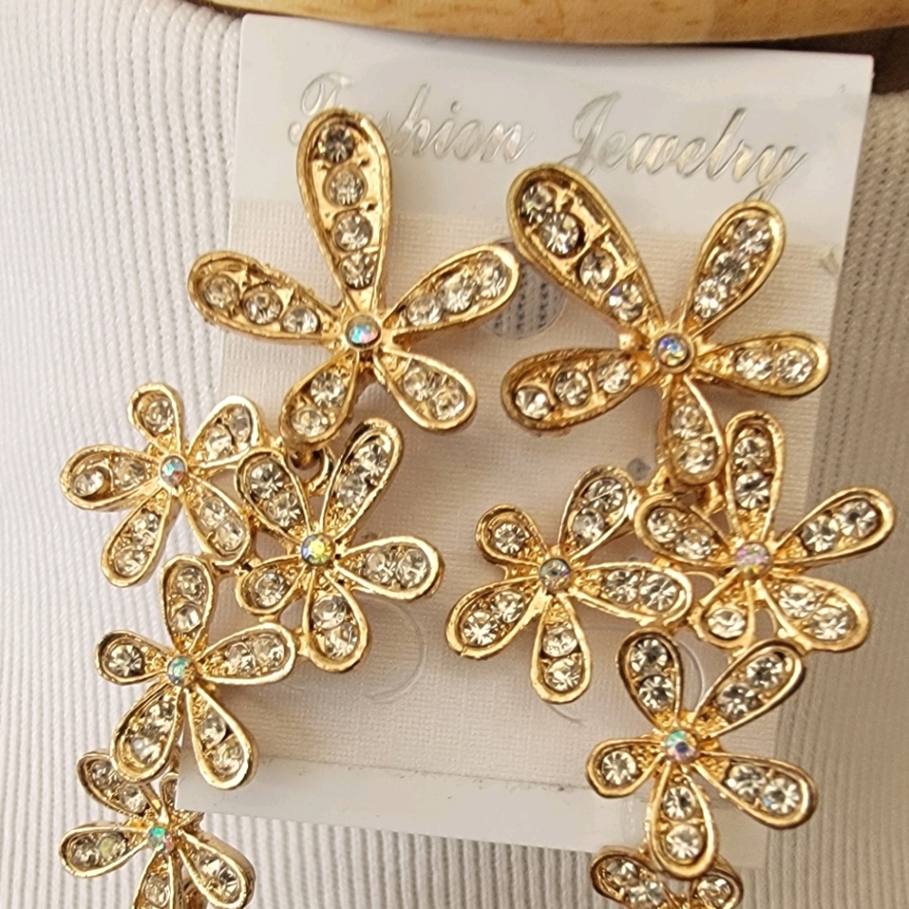 Long Fashion Earrings